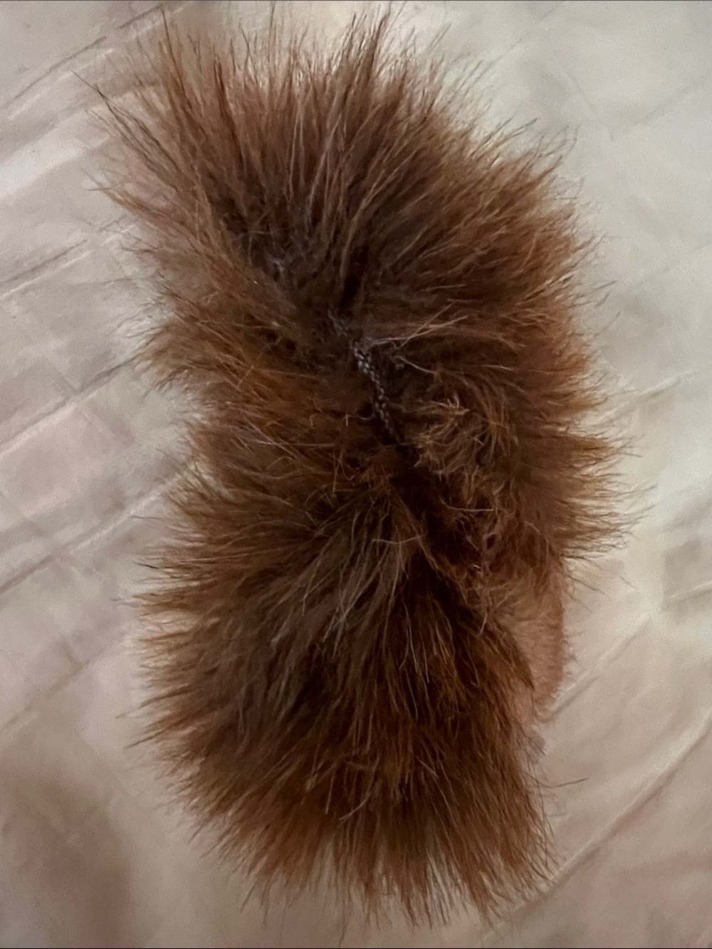 Steiff Squirrel - Picture 10 of 14